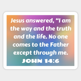 Bible Verse John 14:6 Magnet